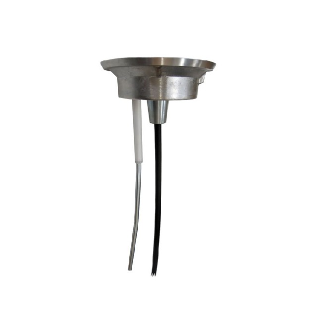 Agromatic ACC1BD ATEX 電容式棒式探頭(10-30 VDC)