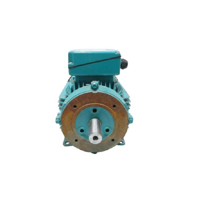 Brook Crompton WP-DA100LTF-C4 三相感應電動機